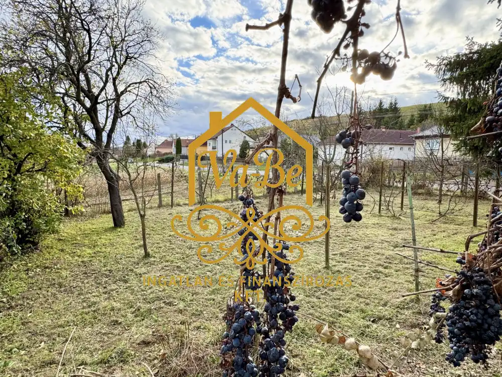 Heves megye - Pétervására